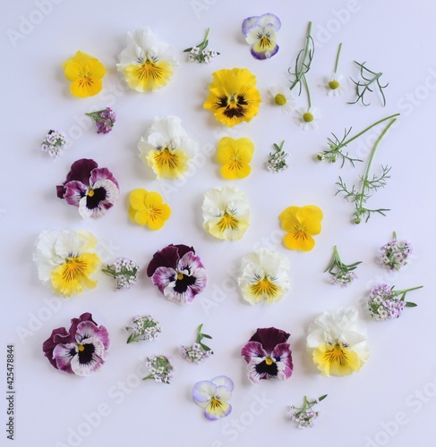 カラフルな春の花 ビオラとパンジーの花びら 白背景 室内 Wall Mural Yuri Ab
