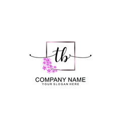 TB Initials handwritten minimalistic logo template vector