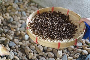 Vintage roasted coffee bean process