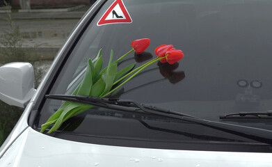 red tulips on the windshield of the car as a gift and declaration of love