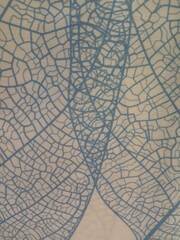 background of grasshopper wings
