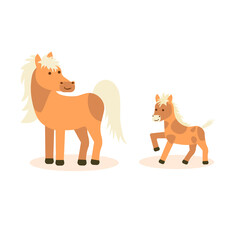 A horse with a foal on a white isolated background. Vector flat illustration