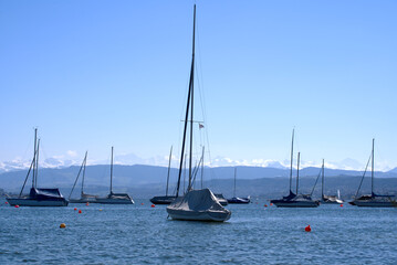 Fototapeta premium Lake Zurich at springtime with sailing boats with blue sky and snow capped mountains in the background. Photo taken April 4th, 2021, Zurich, Switzerland.