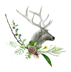 Watercolor realistic deer forest animal isolated on a white background illustration