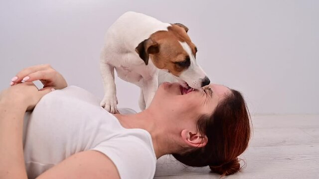 Woman lies on her back and dog jack russell terrier licks her face on a white background.