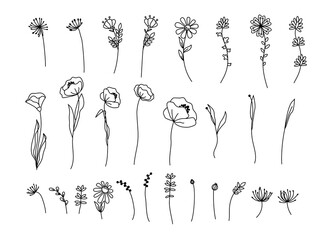 Hand drawn wildflowers. Black and white doodle wild flowers and grass plants. Monochrome floral elements.