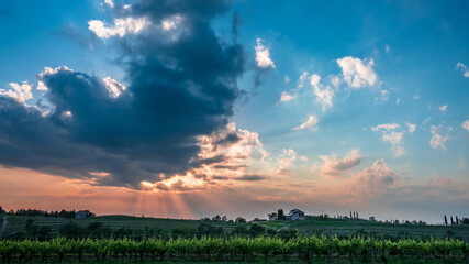 Obraz premium Spring stormy sunset in the vineyards of Collio Friulano, Friuli-Venezia Giulia, Italy