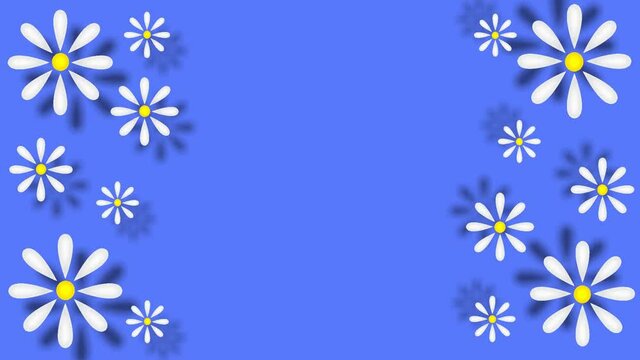 beautiful animation with daisies on a blue background