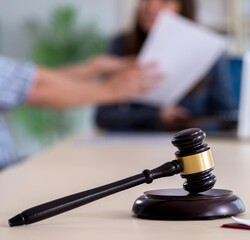 Female lawyer meeting with his male client in the office