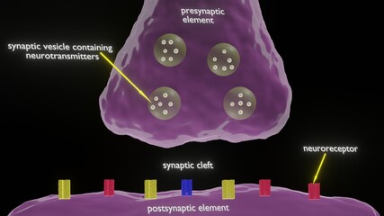 scheme of synapse in 3d illustration