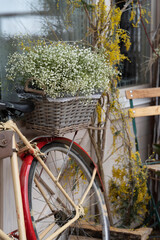 a bicycle with a basket of white spring flowers in the trunk