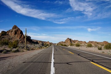 Ajo Sonoita Hwy in Organ Pipe Cactus National Monument in Arizona USA