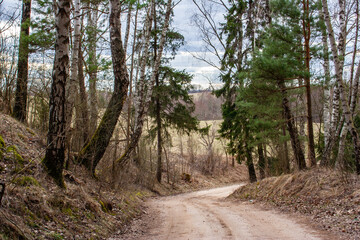 A dirt road leading through an old forest, located in Masuria, Poland, in the former Prussian lands near the city of Ełk