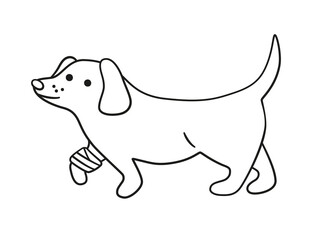 A sick dog with a wounded paw in bandages in doodle style. Unhealthy puppy with splinting leg. Hand drawn vector illustration