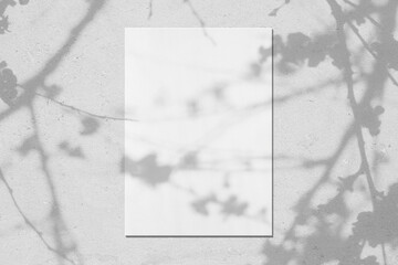 Empty white vertical rectangle poster mockup with soft shadows of blooming tree leaves and flowers...