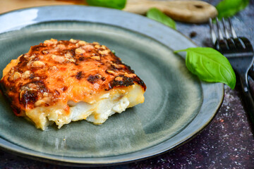 background, baked, barbecue, cheese, closeup, cooked, cooking, cuisine, delicious, dinner, dish, fillet, fish, food, fresh, fried, gorgonzola cheese, gourmet, green, grill, grilled, healthy, herb, hom