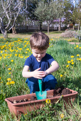 5 years old caucasian boy gardening outdoor in spring season. Concept related to growth, flora and agriculture.
