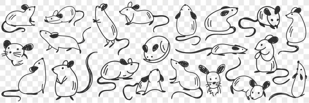 Funny white mice animals doodle set. Collection of hand drawn various funny cute mouse mice in different poses enjoying life isolated on transparent background
