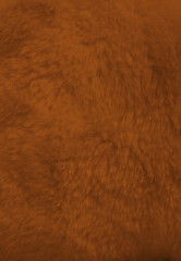 Brown fur background close up view.