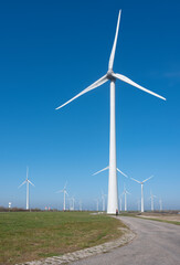 Fototapeta premium wind turbines under blue sky on philipsdam in dutch province of Zeeland