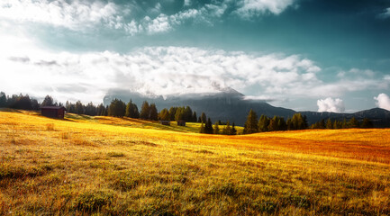 Fototapeta na wymiar Beautiful view of stunnng alpine mountain scenery. Wonderful panoramic landscape with meadow and forest in front of cloudy alps mountains under sunlight. idyllic nature landscape on a sunny day.