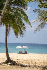 Beach chairs, umbrella and palms on sandy beach near sea. island in Phuket