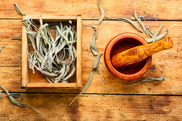 Dried salvia or sage on wooden table
