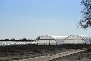 Set of greenhouses in Ukraine, early cultivation of crops photo © Vita