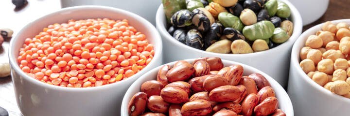 Legumes panorama. Many different pulses