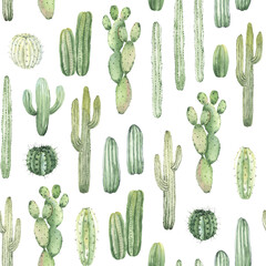 Floral seamless pattern with green cacti, watercolor print on white background.