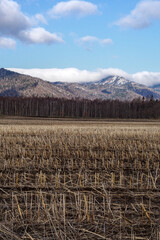 収穫後の茶色の畑と山と空の農村の風景。