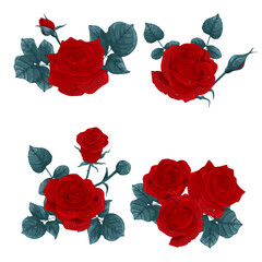Set of different bouquets of red roses on a white background. Collection of various beautiful floral design elements for floral decoration of greeting, wedding or invitation card. Vector illustration