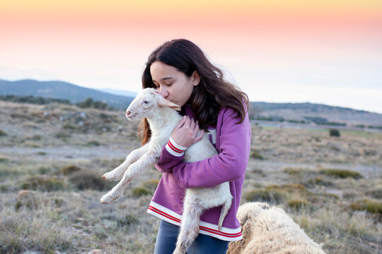 Ni&ntilde;a besando a oveja reci&eacute;n nacida