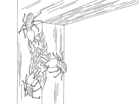 Termites gnawing a wooden beam graphic black white sketch illustration vector