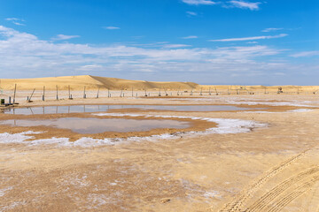 sahara desert after rain, puddles on saline soils