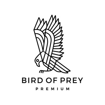 bird of prey monoline logo vector icon illustration