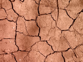 dry soil background