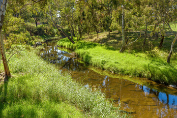 A calm and tranquil scene of Merri Creek flowing through the suburbs of Melbourne Australia