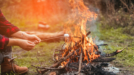 Woman hand holds sweet marshmallows on stick over the bonfire at campfire in forest