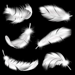 Obraz premium White feathers realistic set. Falling fluffy twirled bird plume in different angle, 3d flying angel or swan quill. Symbol of lightness and softness, vector isolated collection