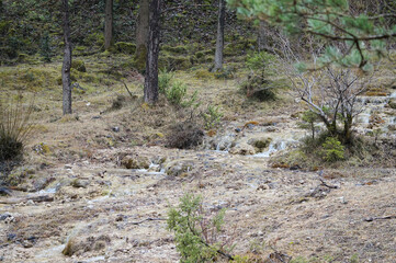 Wanderung um Brannenburg / Sankt Magarethen
