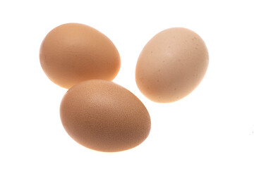 chicken eggs isolated