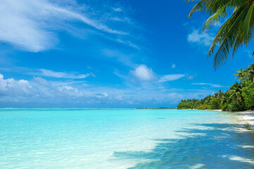 Obraz na płótnie Canvas tropical sea under the blue sky. Sea landscape.