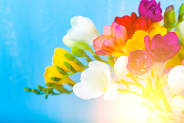 Bouquet of multi-colored freesias