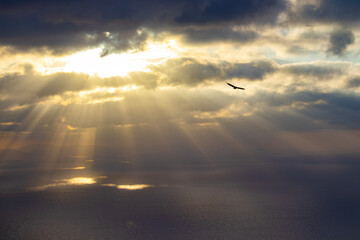 Sun rays passing trhoug clouds with an eagle