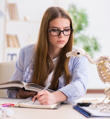 Student examining animal skeleton in classroom
