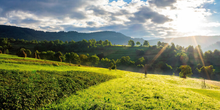 rural fields in the morning light. wonderful mountainous countryside scenery with grassy hills in summer