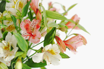 Abstract floral background. Alstroemeria bouquet close up. Floral card. Unfocused bunch of spring flowers. Delicate nature background. Blurred flowers and green branches with copy space.