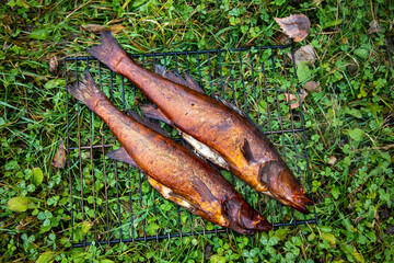 chilled river fish in smoke lies on the grate on the grass