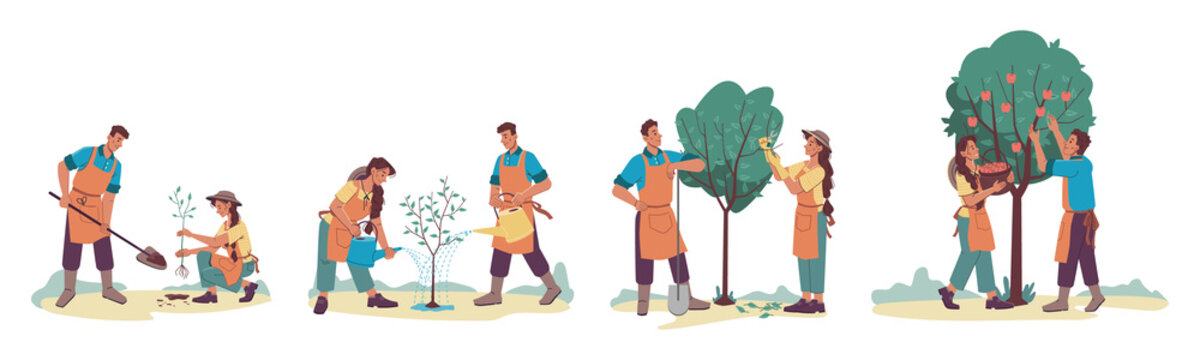 Planting tree isolated growth process set, cartoon man and woman cartoon characters gardening together. Vector people plant sprout with shovel, couple husband and wife gardeners growing apple-tree